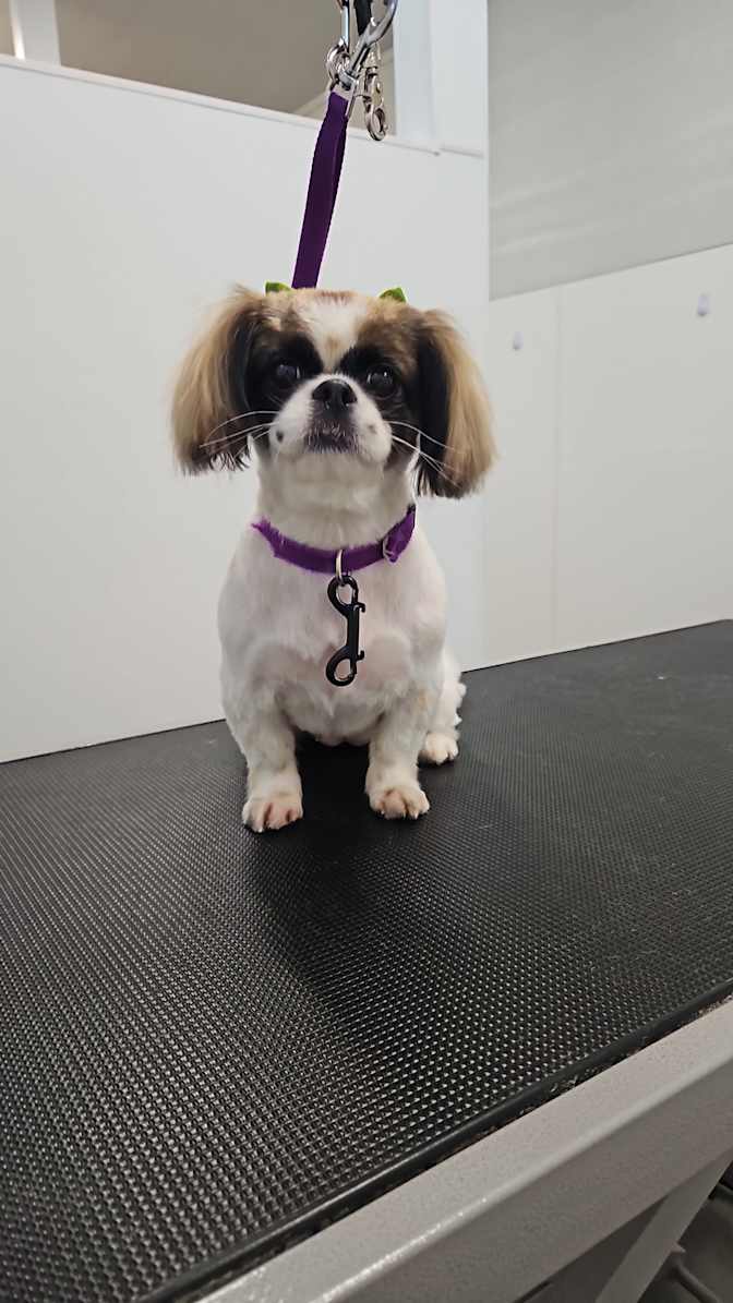 Caleb Thomson's room