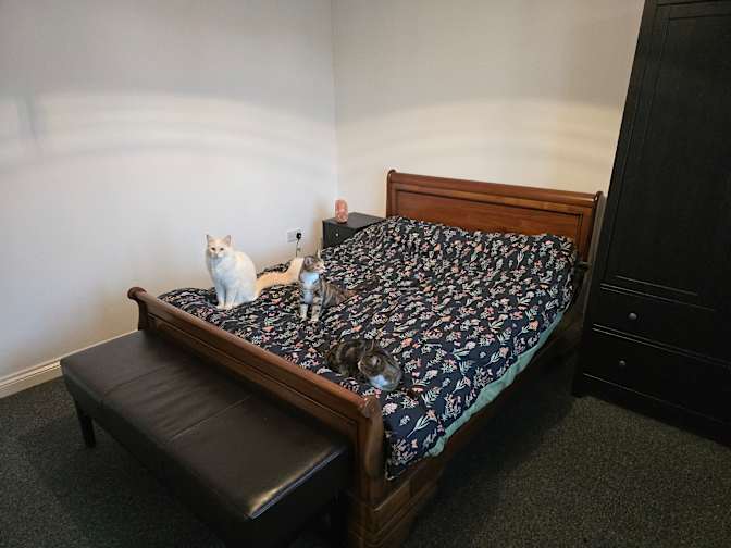 Photo of Robert's room