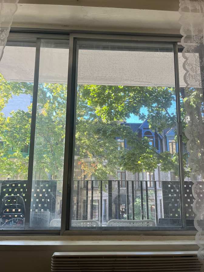 PARASTOO ASADI's room