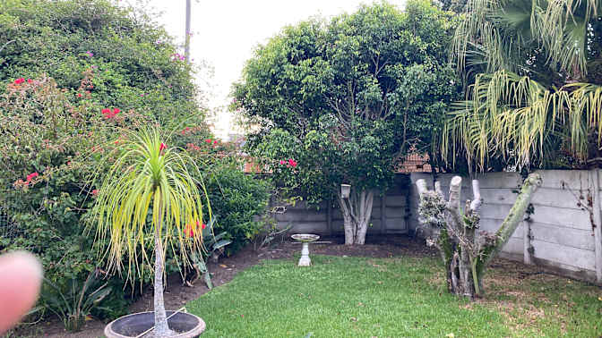 Photo of Desre Wilson's room