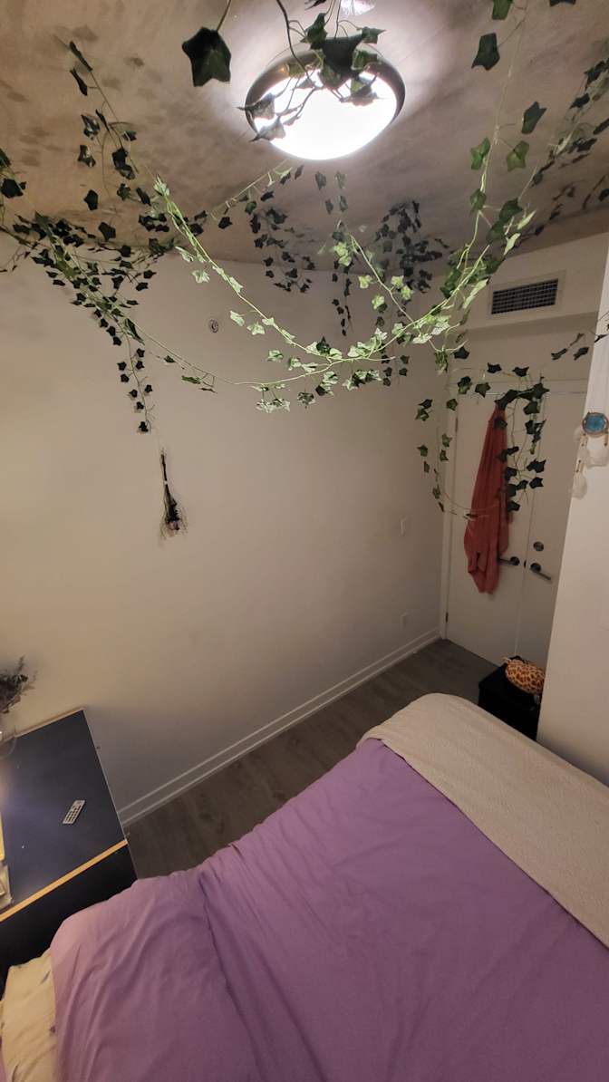 Photo of Mich Anger's room
