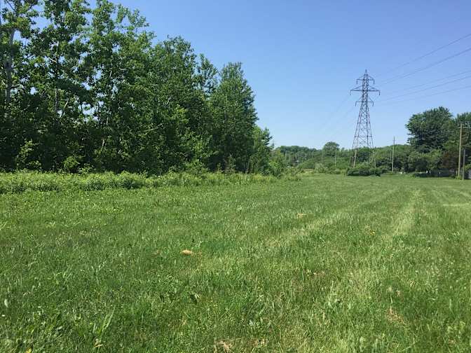 Photo of Alana's room