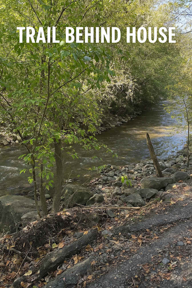 Photo of Gilda's room