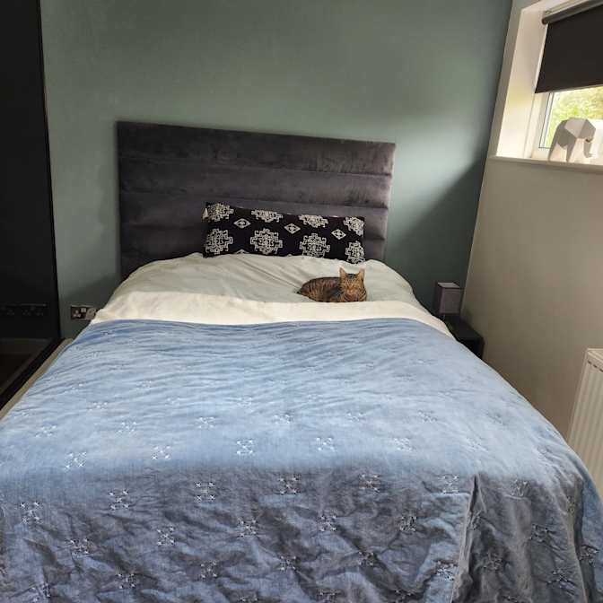 Photo of Narinda Bisla's room