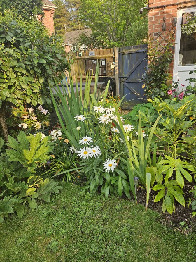 Photo of Janet Ogrady's room
