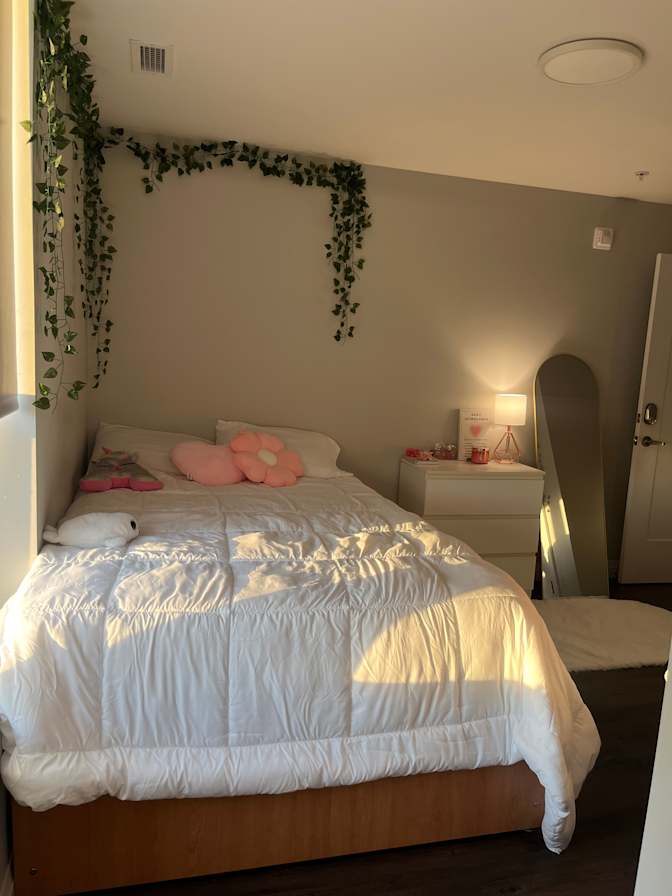 Allison M Juarez's room