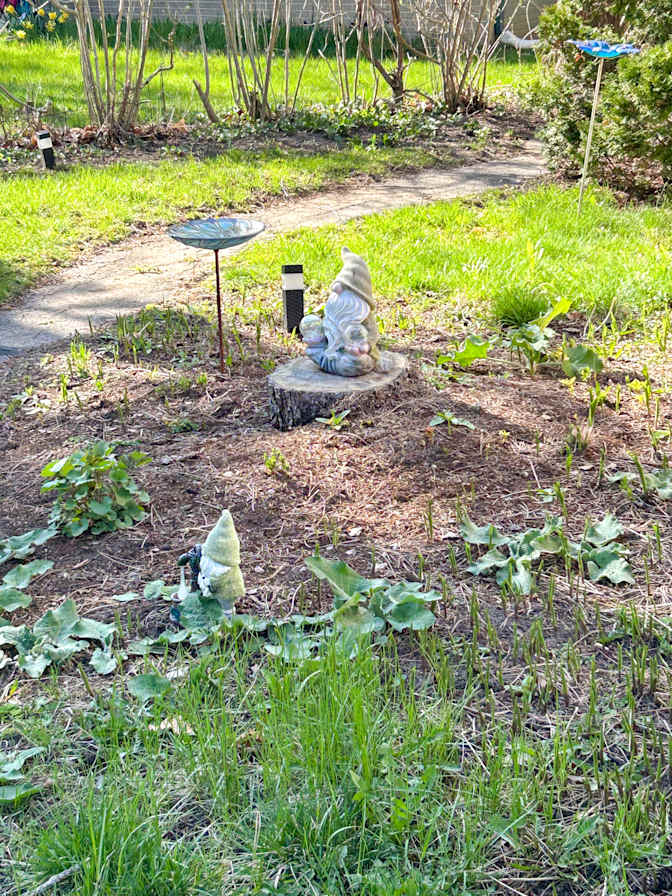 Photo of Rachel's room