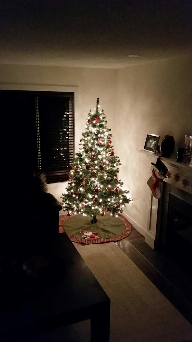 Photo of Andrew's room