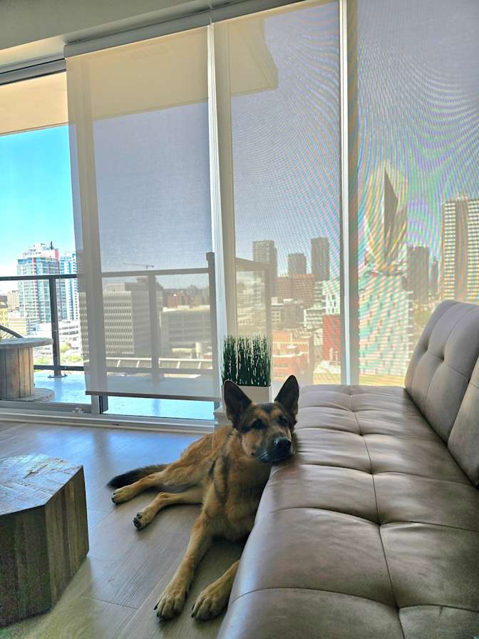 Steven Allard's room