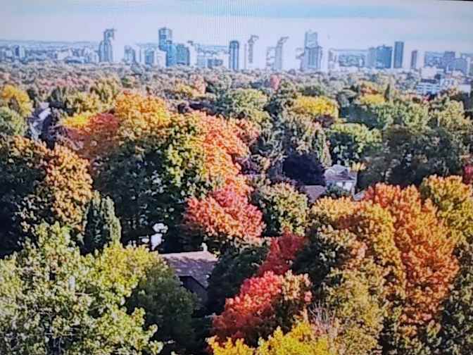 john bortolin's room