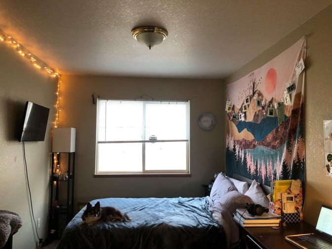 Photo of gabriela's room