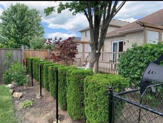 Photo of Santhi Varanasi's room