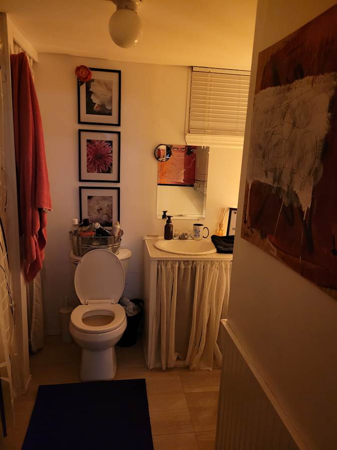 Photo of Dog person ❤️'s room