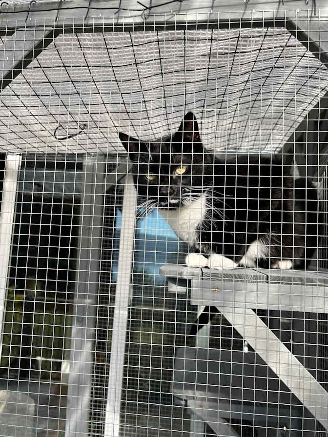 Rebecca Campbell's room