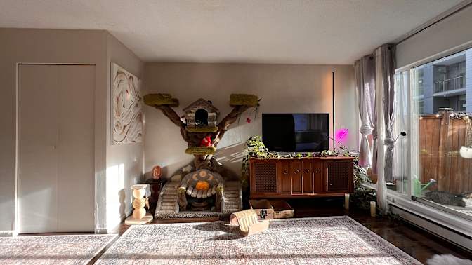 Photo of Shyloh's room