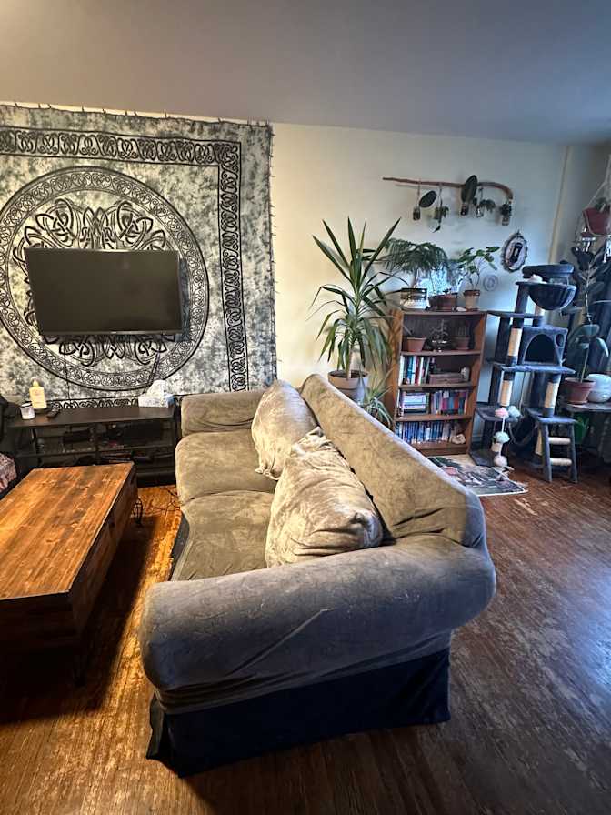 Photo of Hayden Gelsumini's room