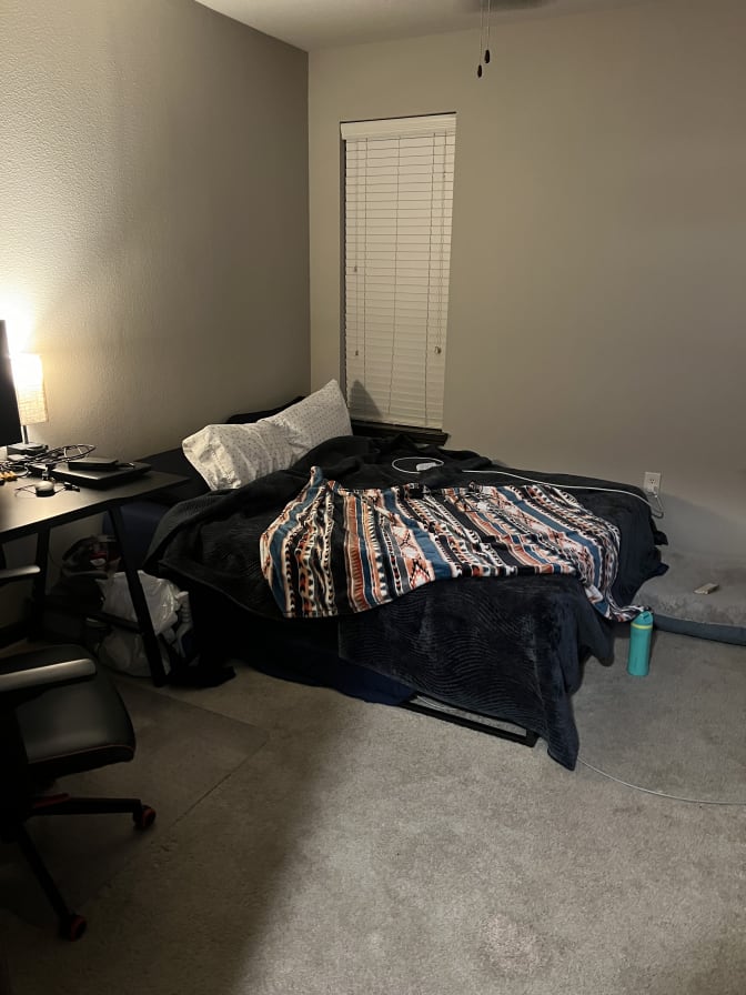 Photo of Holly's room