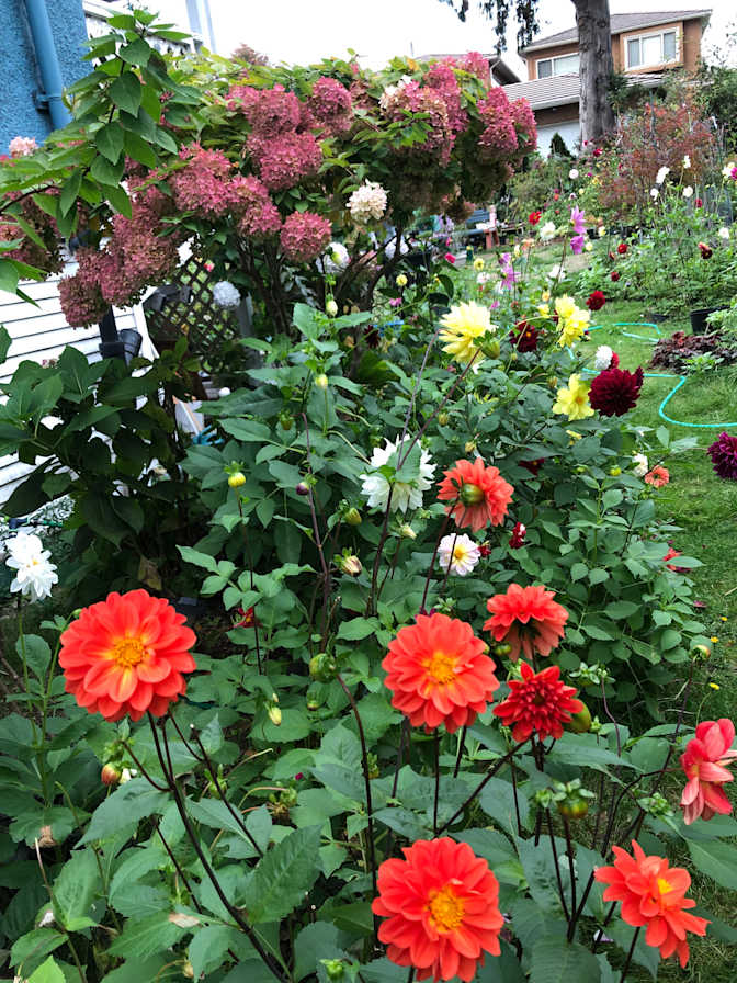 Photo of Annie Dalayon's room