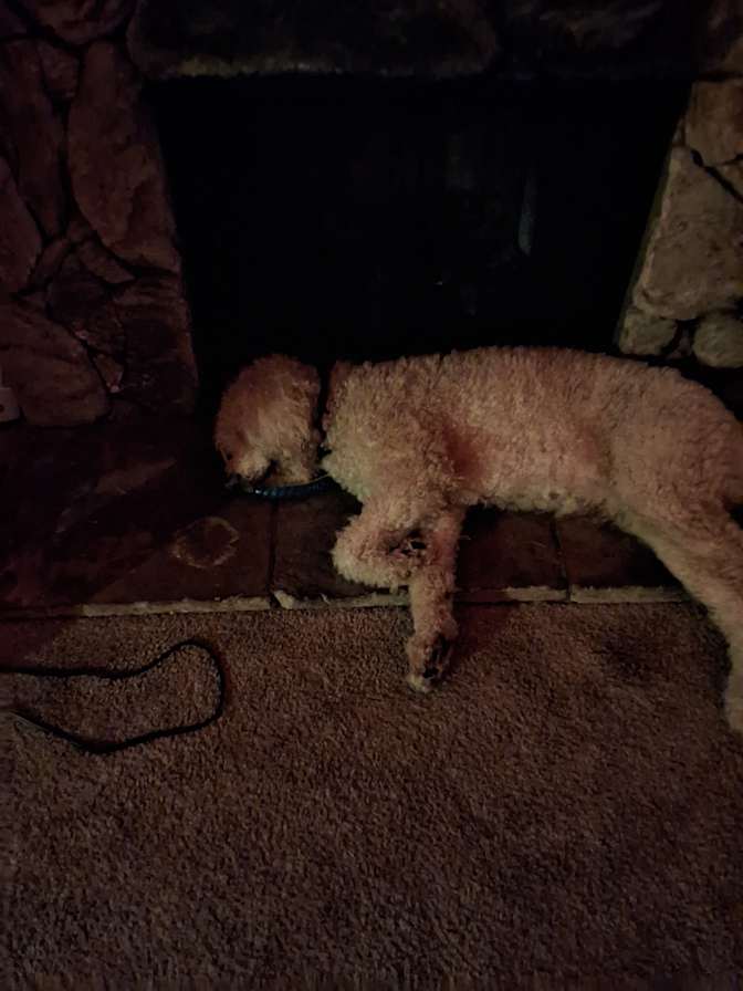 Photo of Giovanna Winter's room