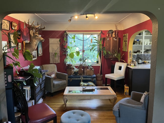 Photo of Carly's room