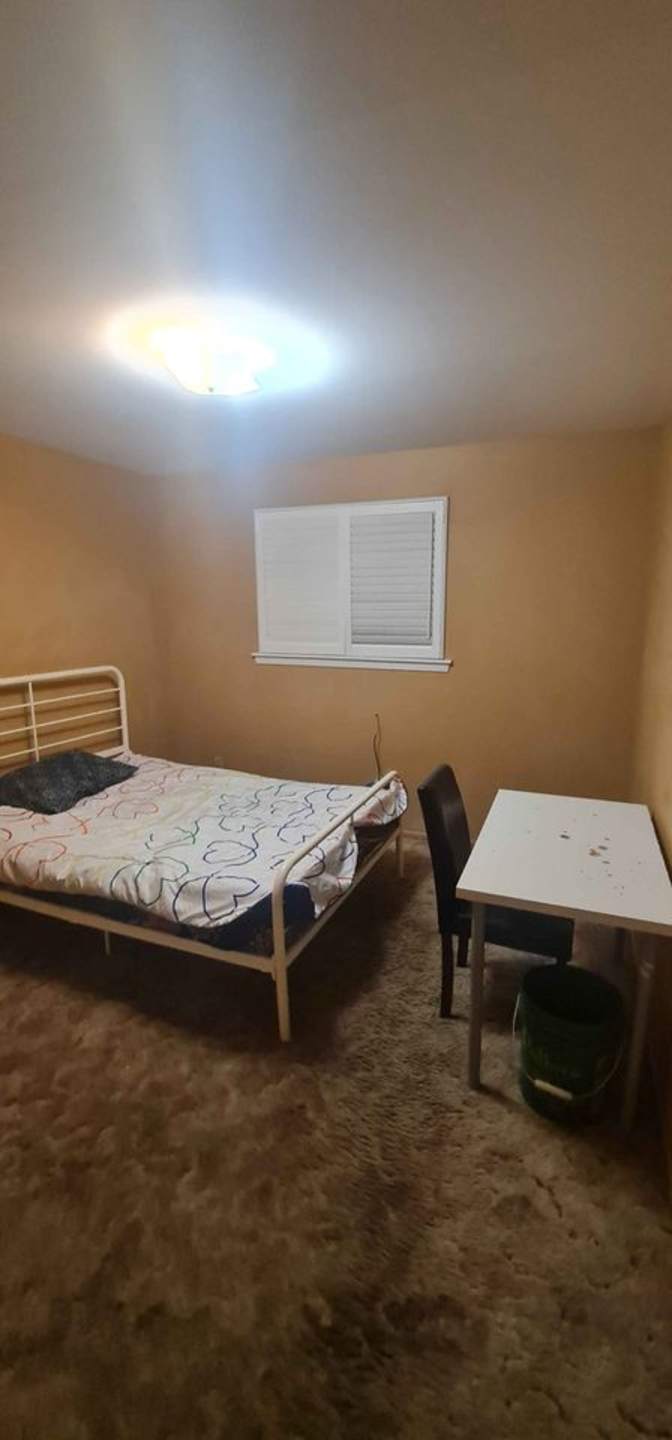 Photo of Shobaky's room