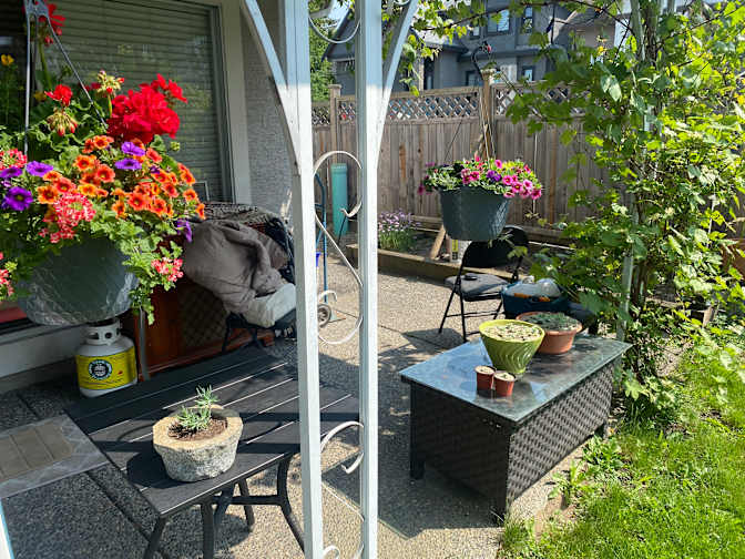 William  Lowe's room