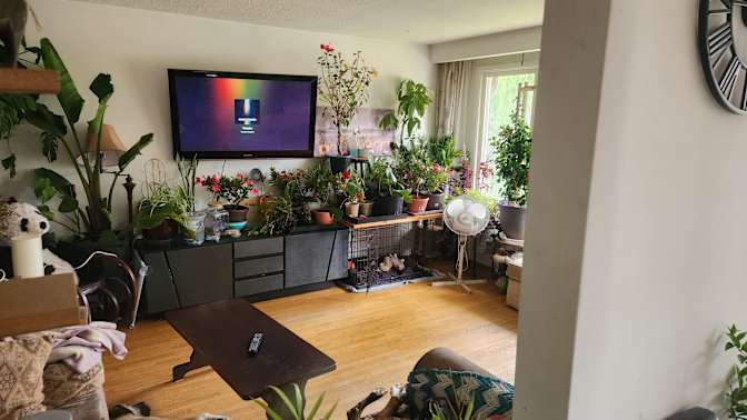 Photo of Blair's room