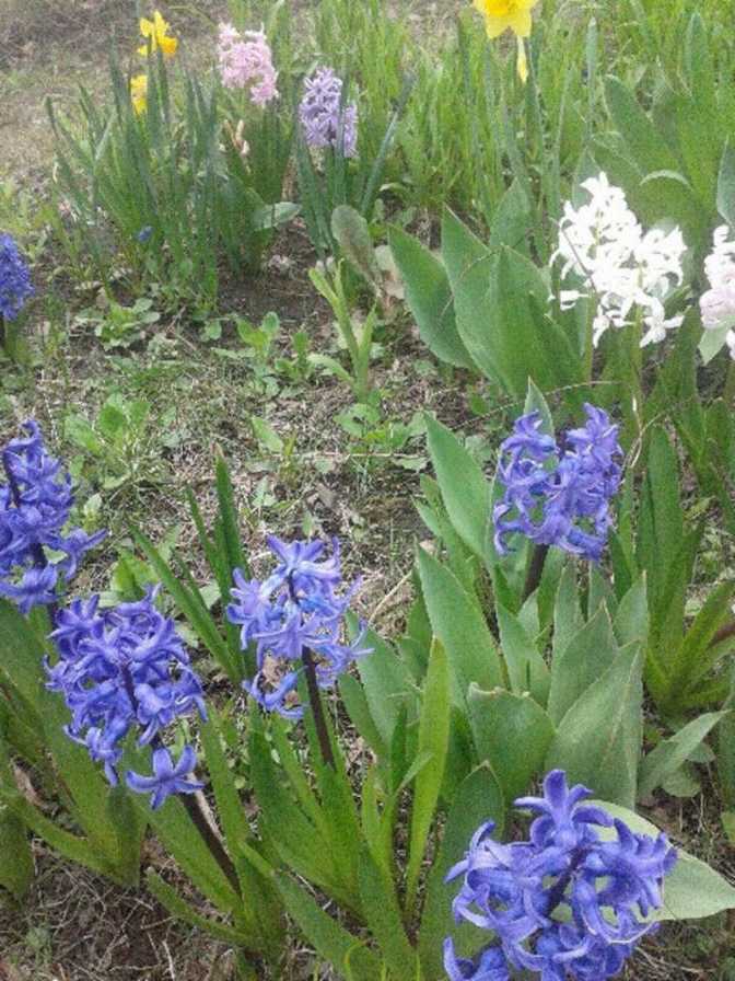 Photo of MTG Player's room