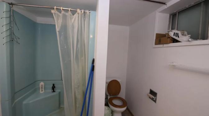 Wild cat team (Peter's room