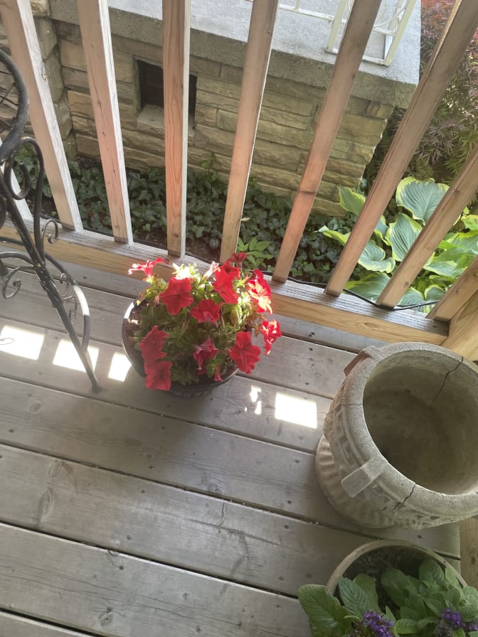 Photo of Adam's room