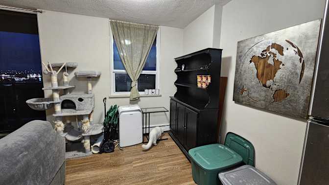 Photo of Sunny's room