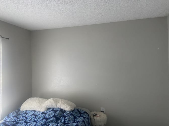Photo of Johana's room