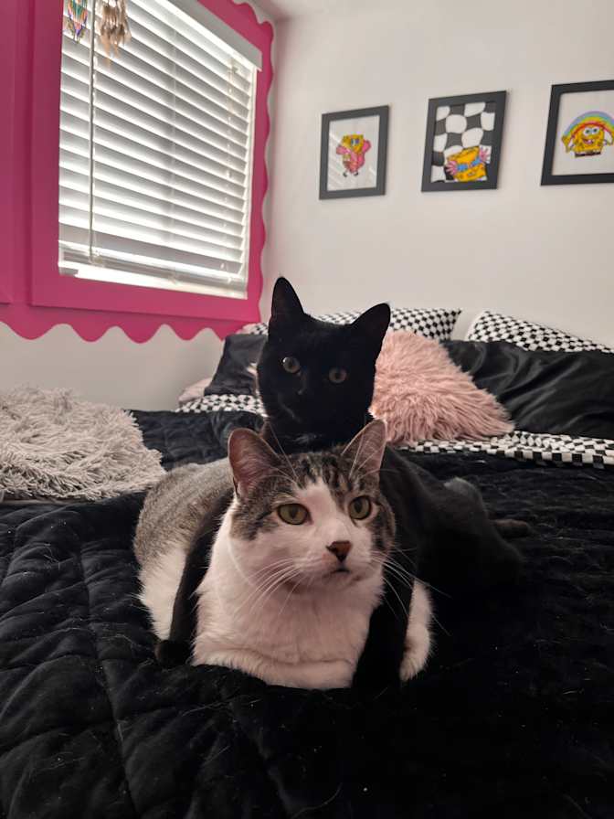 Meghan and Jessica's room