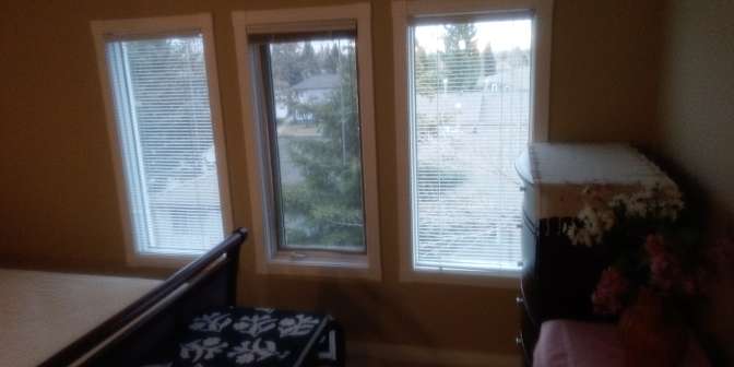 Photo of Semra's room