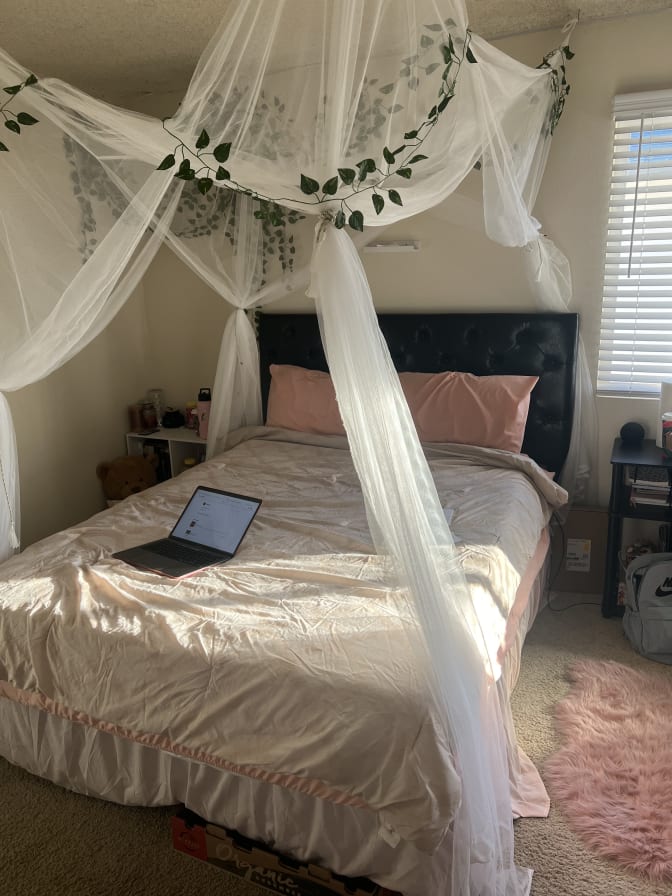 Photo of Honey's room