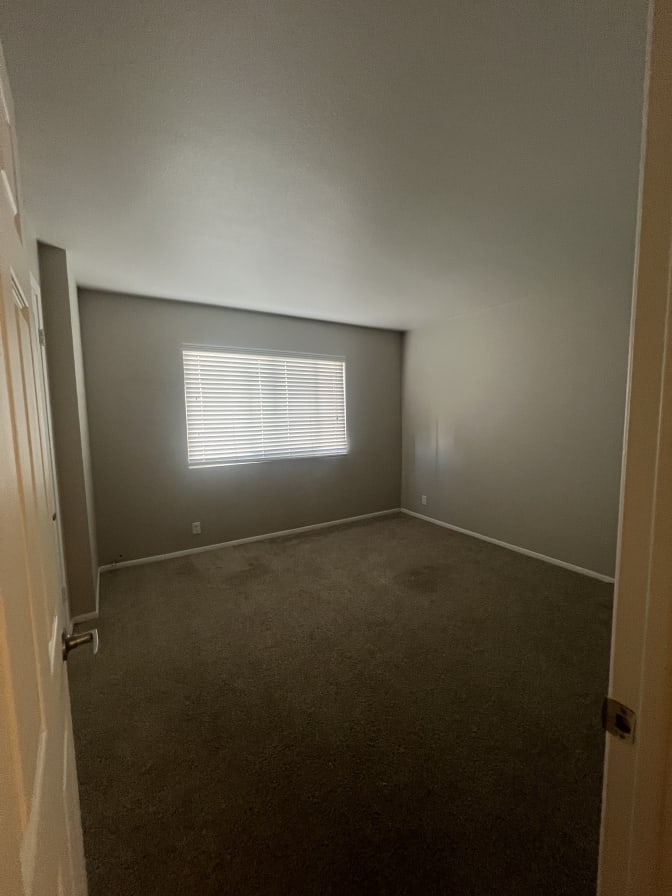 Photo of trinity's room
