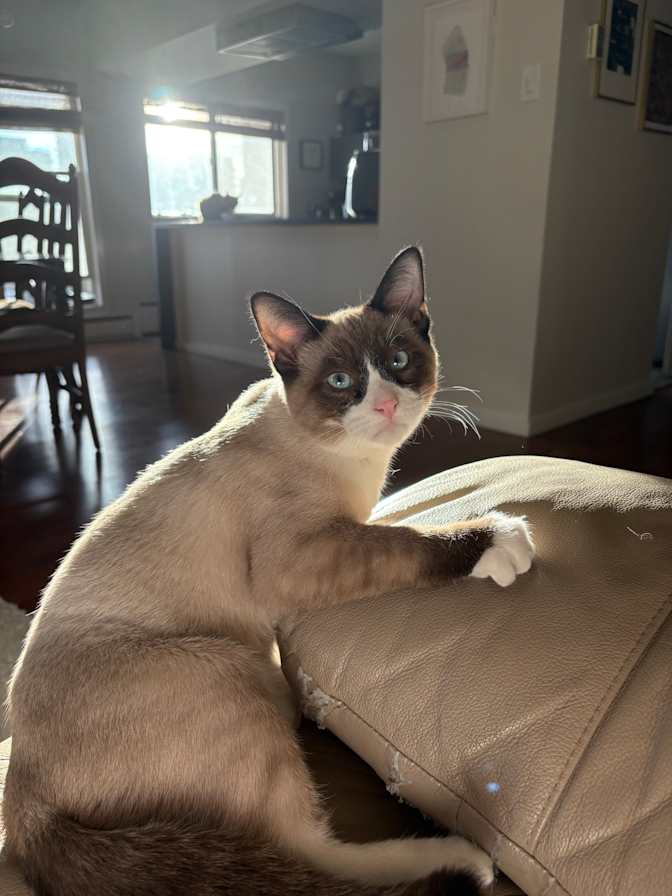 Photo of Jamie's room