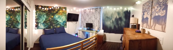 Photo of Forest's room