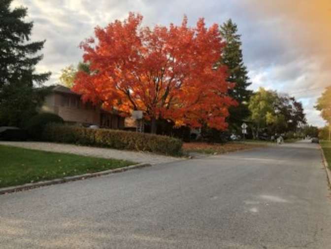 Photo of Maureen Segre's room