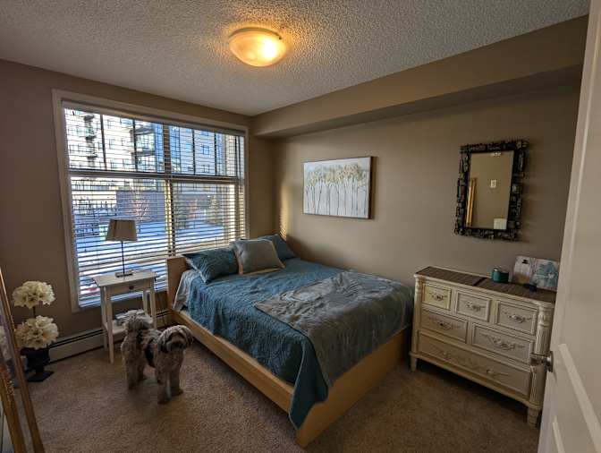 Photo of Tessa's room