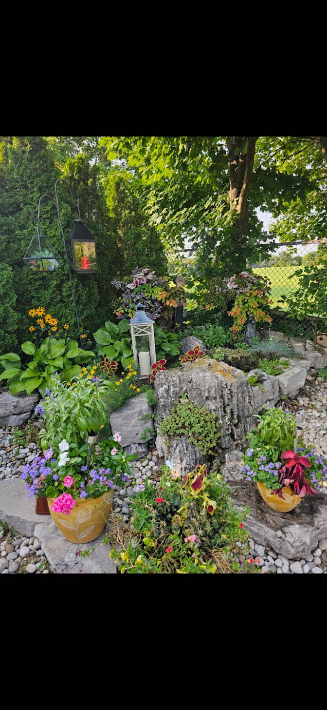 Suzanne Del RIZZO's room