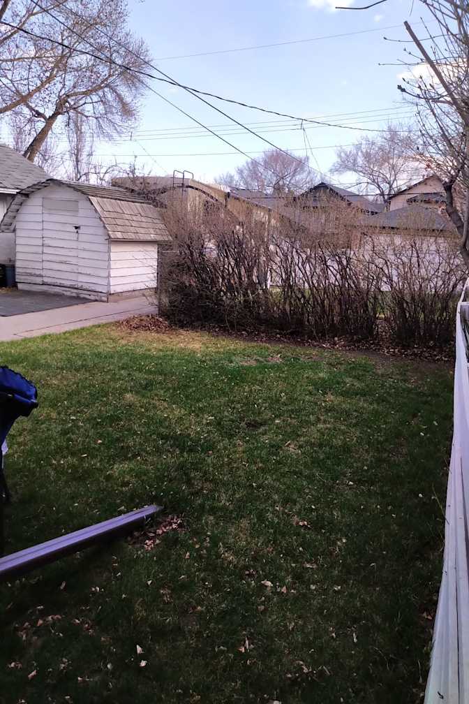 Trevor Thibodeau's room