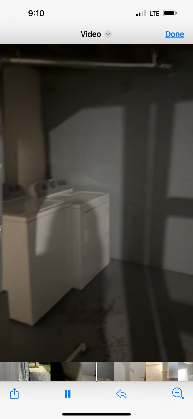 Cassidy  Elgert's room