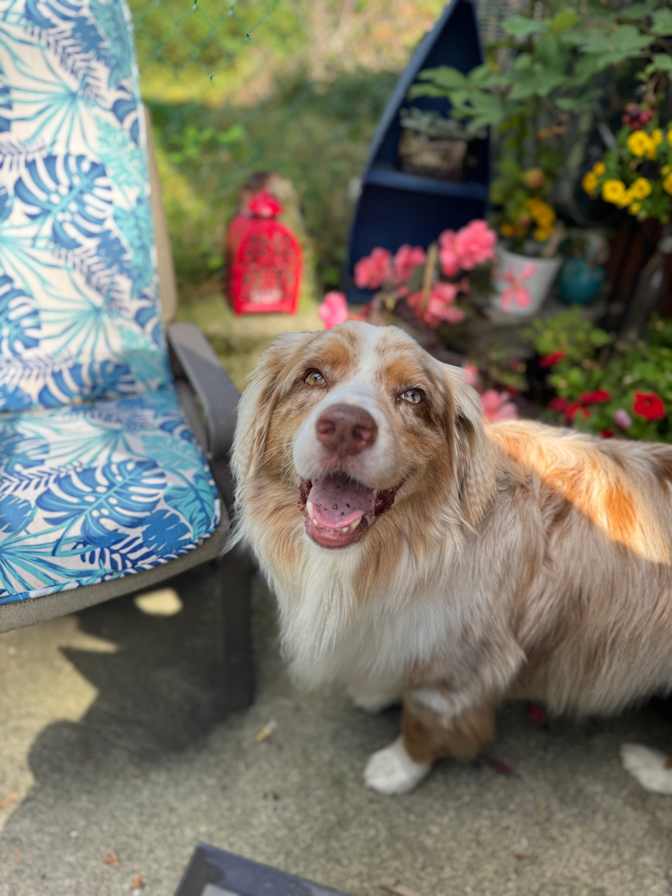 Photo of Bradford's room