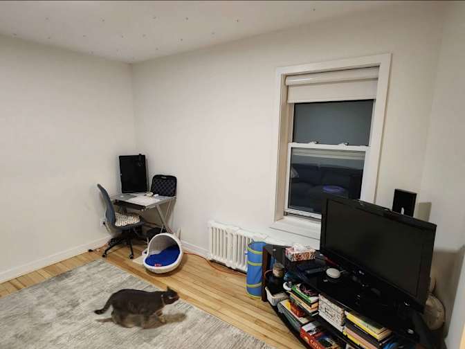 Photo of Leila's room