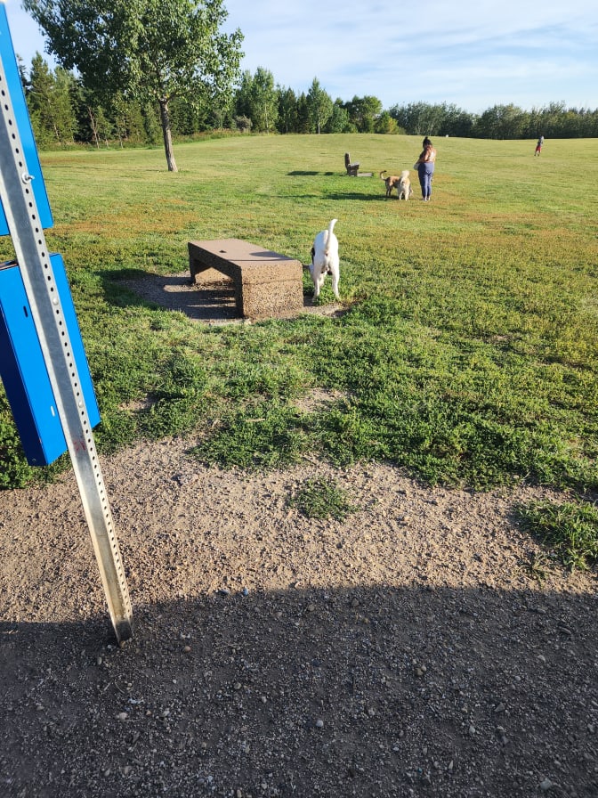 Nikita Ferguson's room