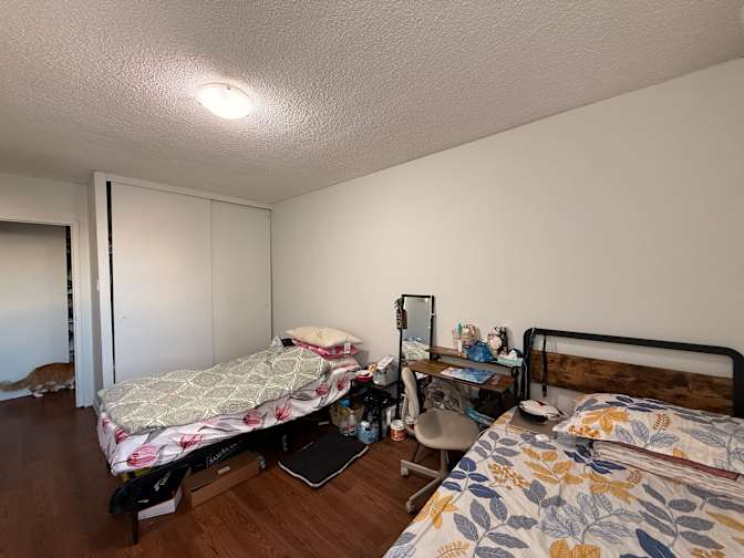 Nila Moni Mojumder's room