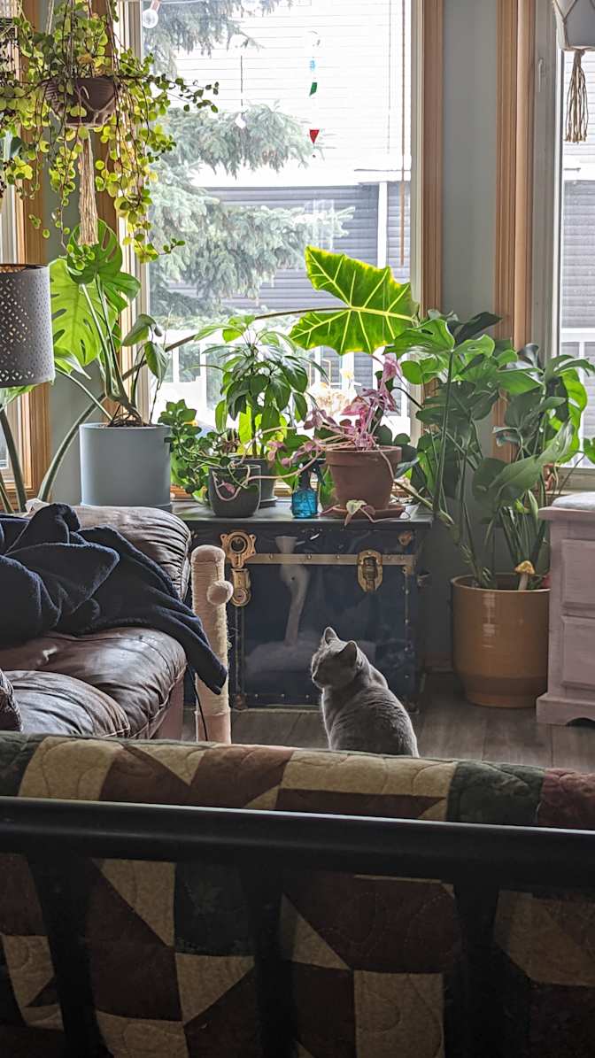 Photo of Mercedes's room