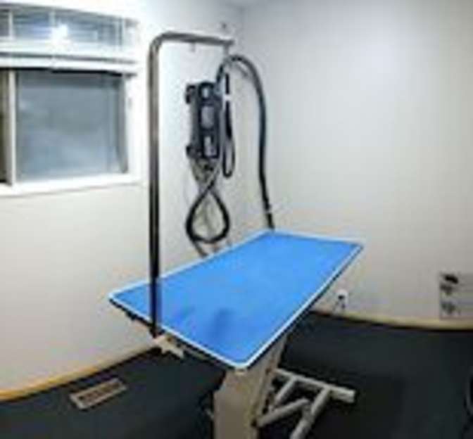 Photo of Leona's room