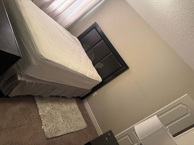 Photo of Clever's room